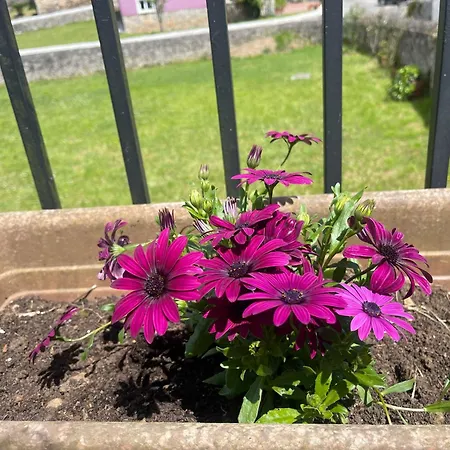 Дом отдыха El Campon,