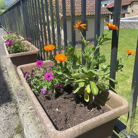 Holiday home El Campon,